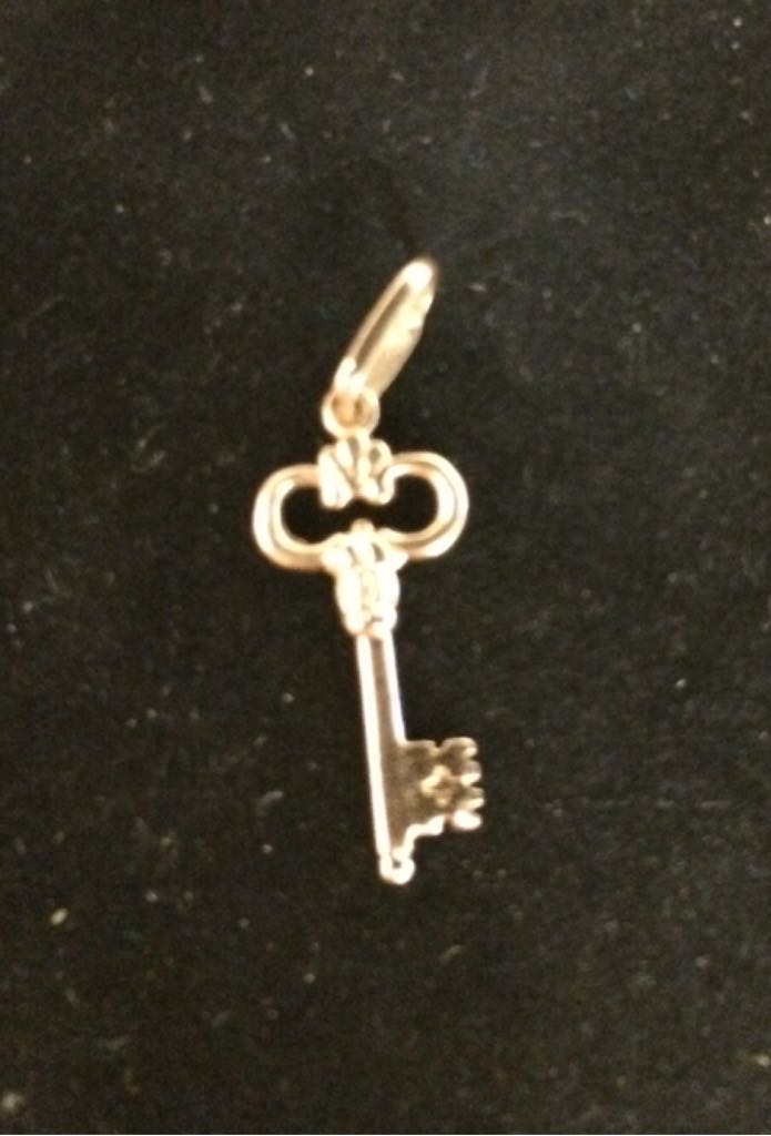 Ripats (v\365ti)  coin collectible - Main Image 2