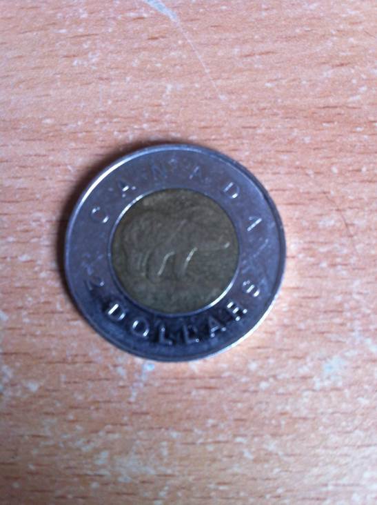 Tonnie  coin collectible - Main Image 1