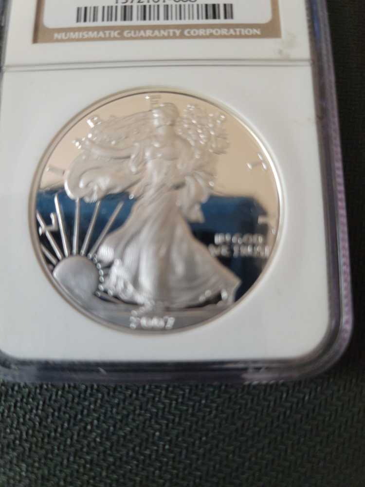 American Eagle 2007  coin collectible - Main Image 3