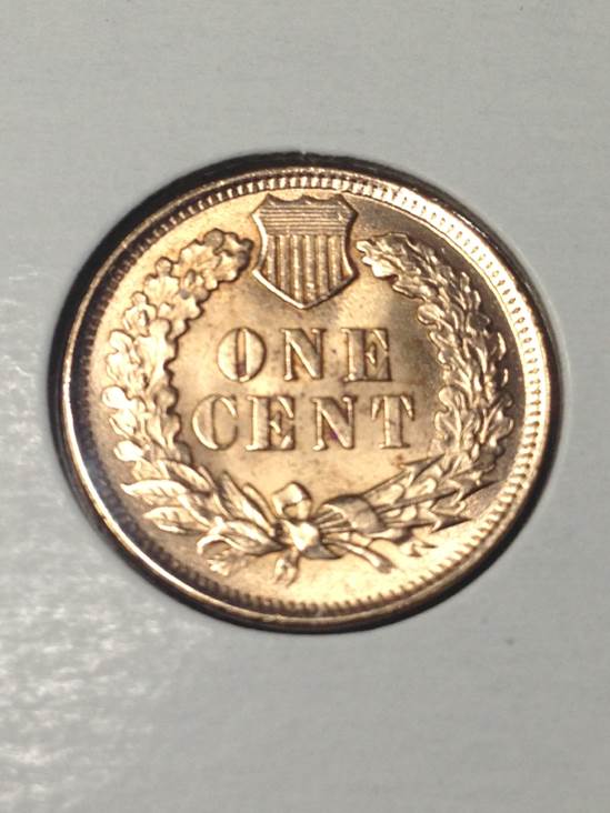 Indian Head Cent 1901  coin collectible - Main Image 2