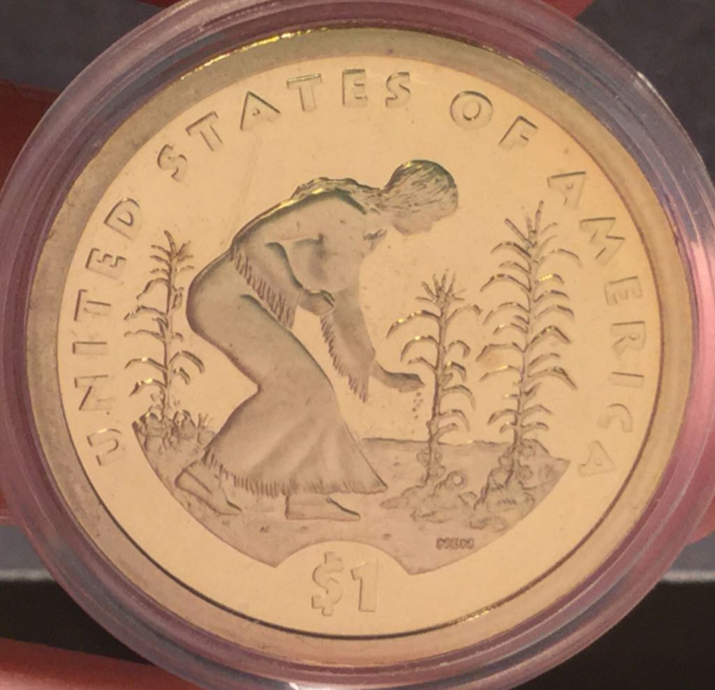 Sacagawea Dollars Complete Collection 2009 S  coin collectible - Main Image 2