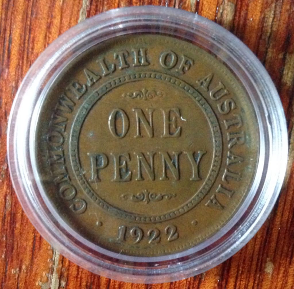 Pygargue À Tête Blanche 2015