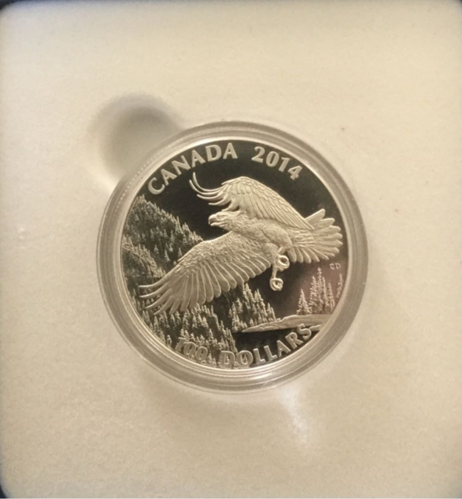 Le Fascinant Pygargue Â Tête Blanche  coin collectible - Main Image 2
