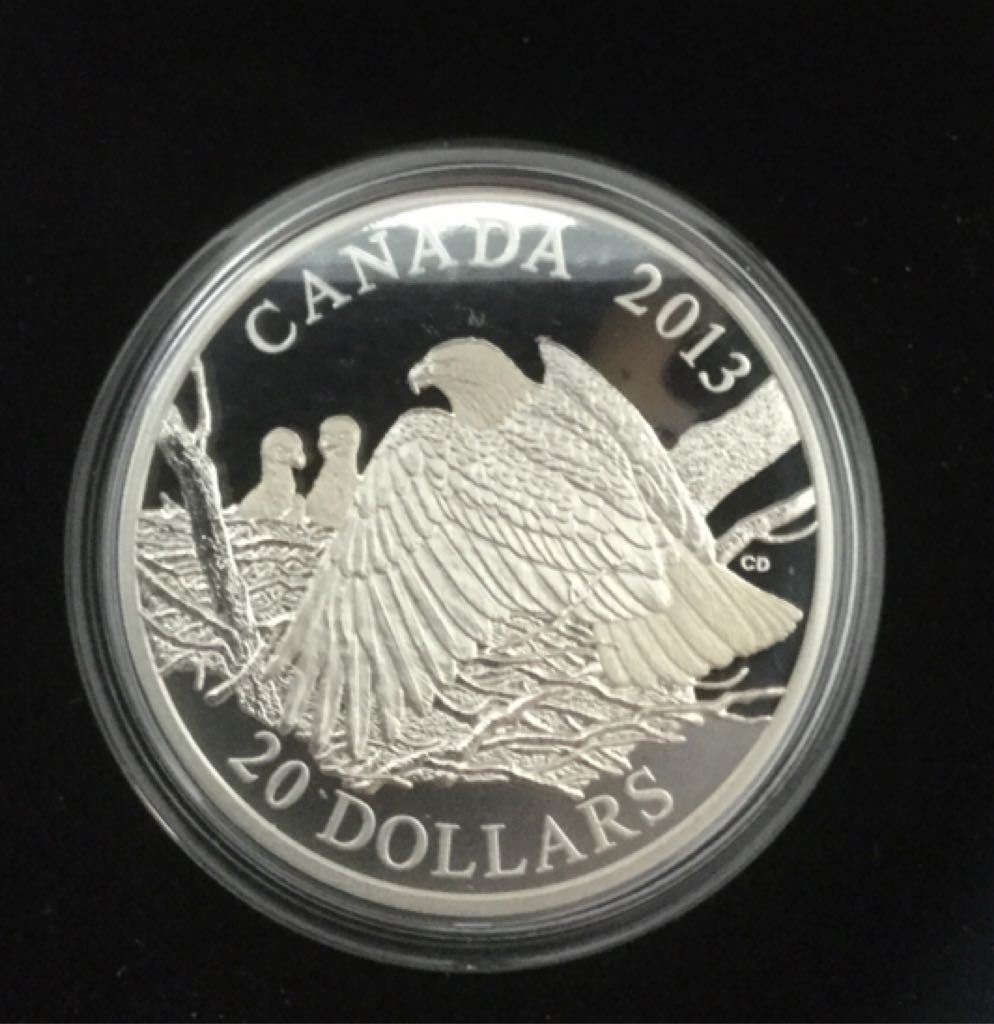 Pygargue À Tête Blanche Une Mère Et Ses Aiglons  coin collectible - Main Image 2