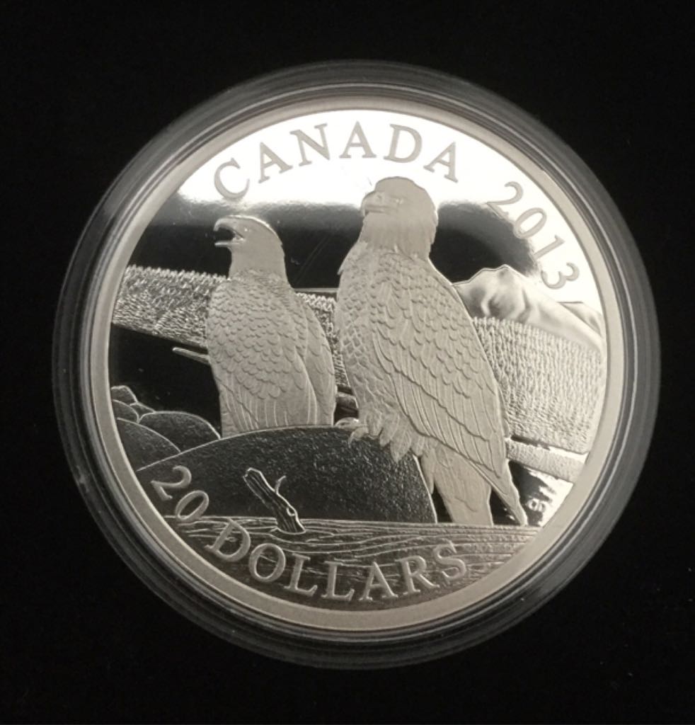 Pygargue À Tête Blanche Ensemble Pour La Vie  coin collectible - Main Image 2