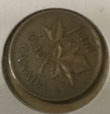 Fairy Wren - Fifty Cents