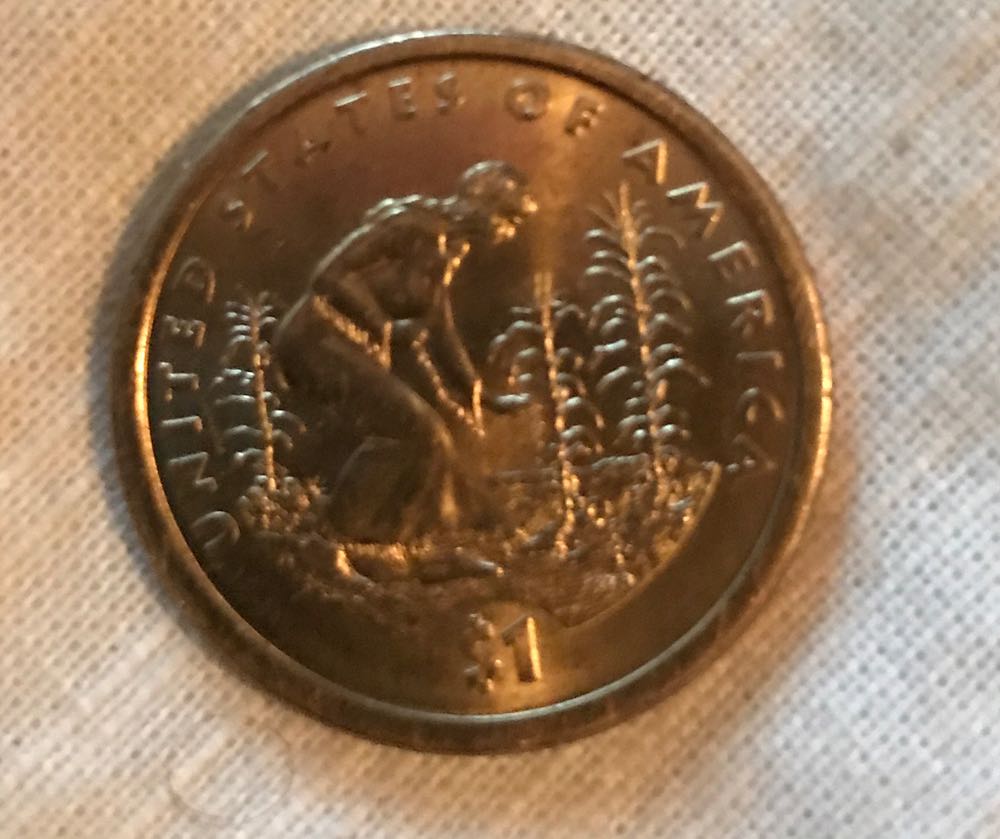 Native American Dollar - S Proof  coin collectible - Main Image 4