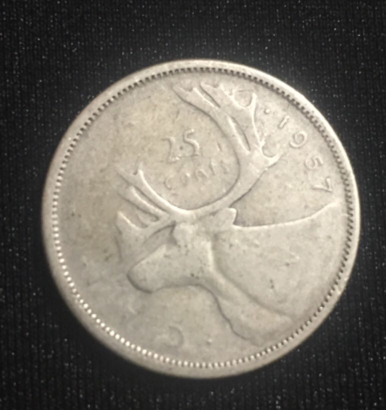 Au Coeur De L’arctique 2013