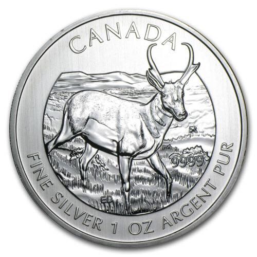 2013 Canadian $5.00 1OZ Silver Coin  coin collectible - Main Image 2