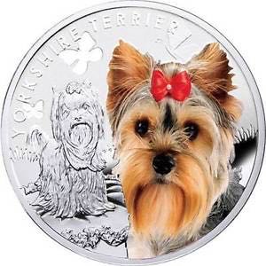 Magnified Beauty: The Eastern Prickly Pear Cactus - Beauté Rapprochée: L’Oponce De L’Est