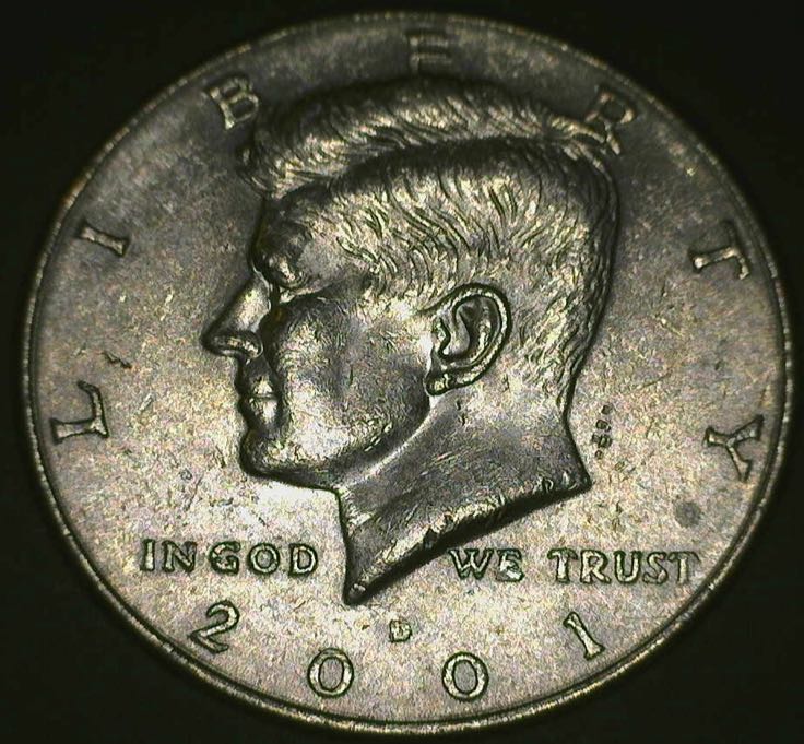 Republic Of Congo African Lion