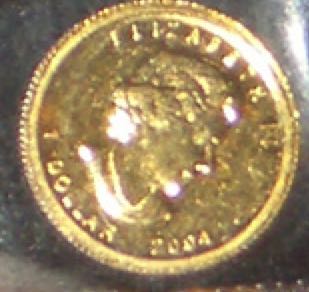 2010 1/25 Ounce Gold Coin  coin collectible - Main Image 2