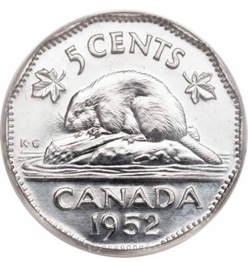 Canada Great Horned Owl