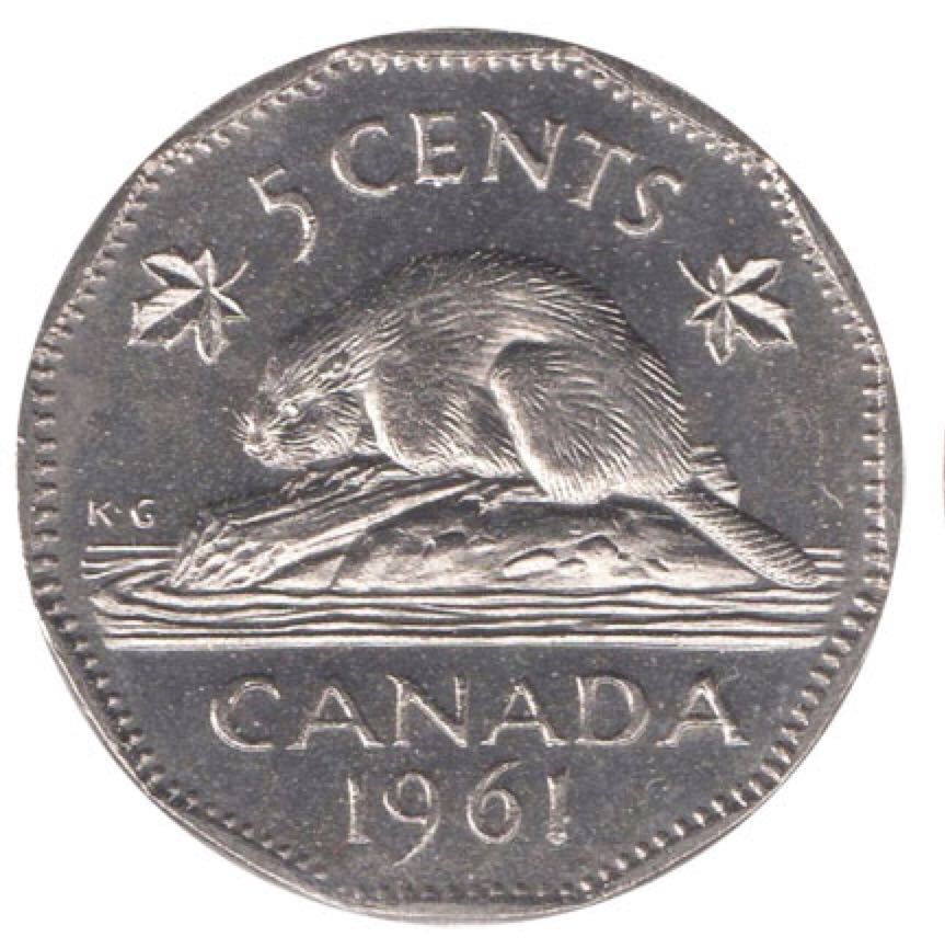 Image 11501