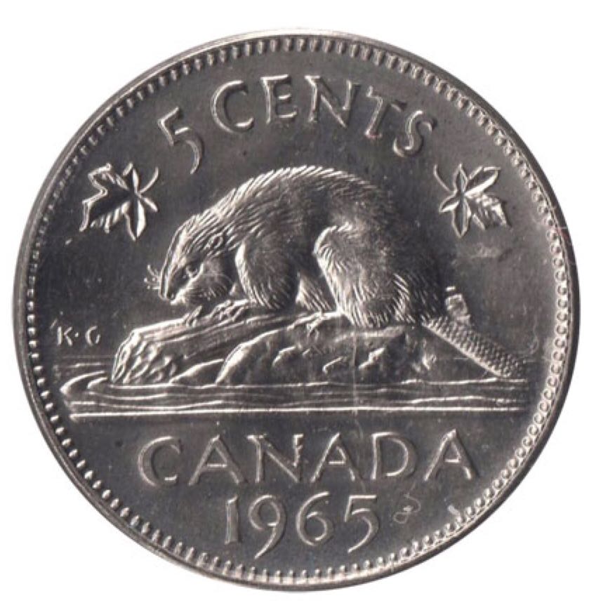 Image 11505