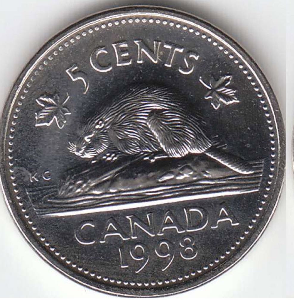 Small Dollar - President Hayes Obverse