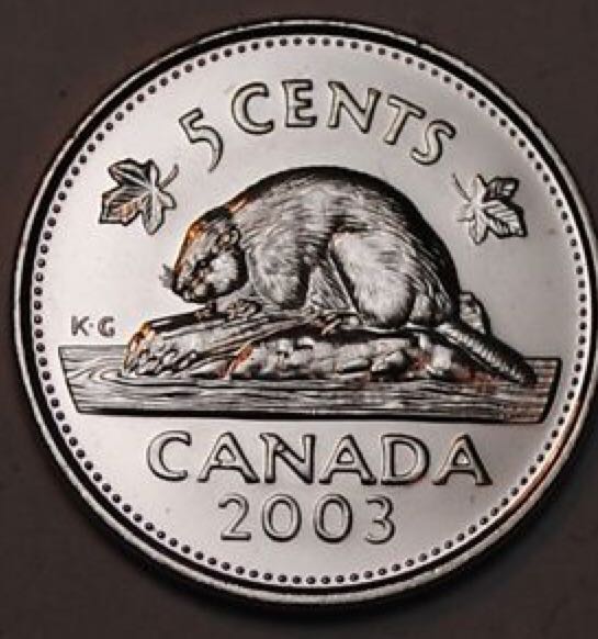 Image 11549