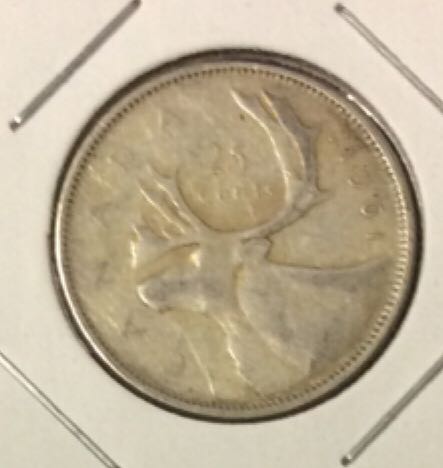 Mallard - Le Canard Colvert