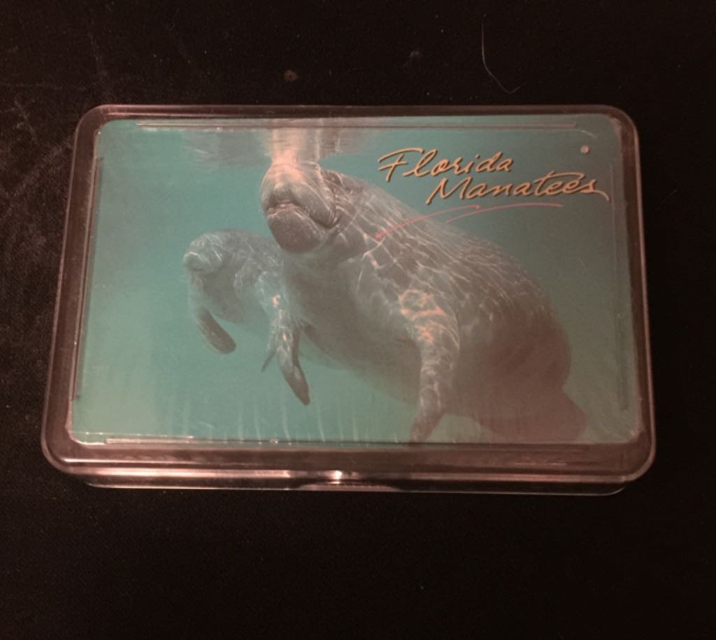 Domed Soccer Ball Round