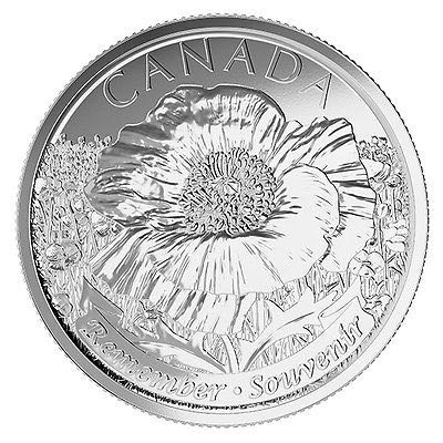 Canada Quarter   coin collectible - Main Image 2
