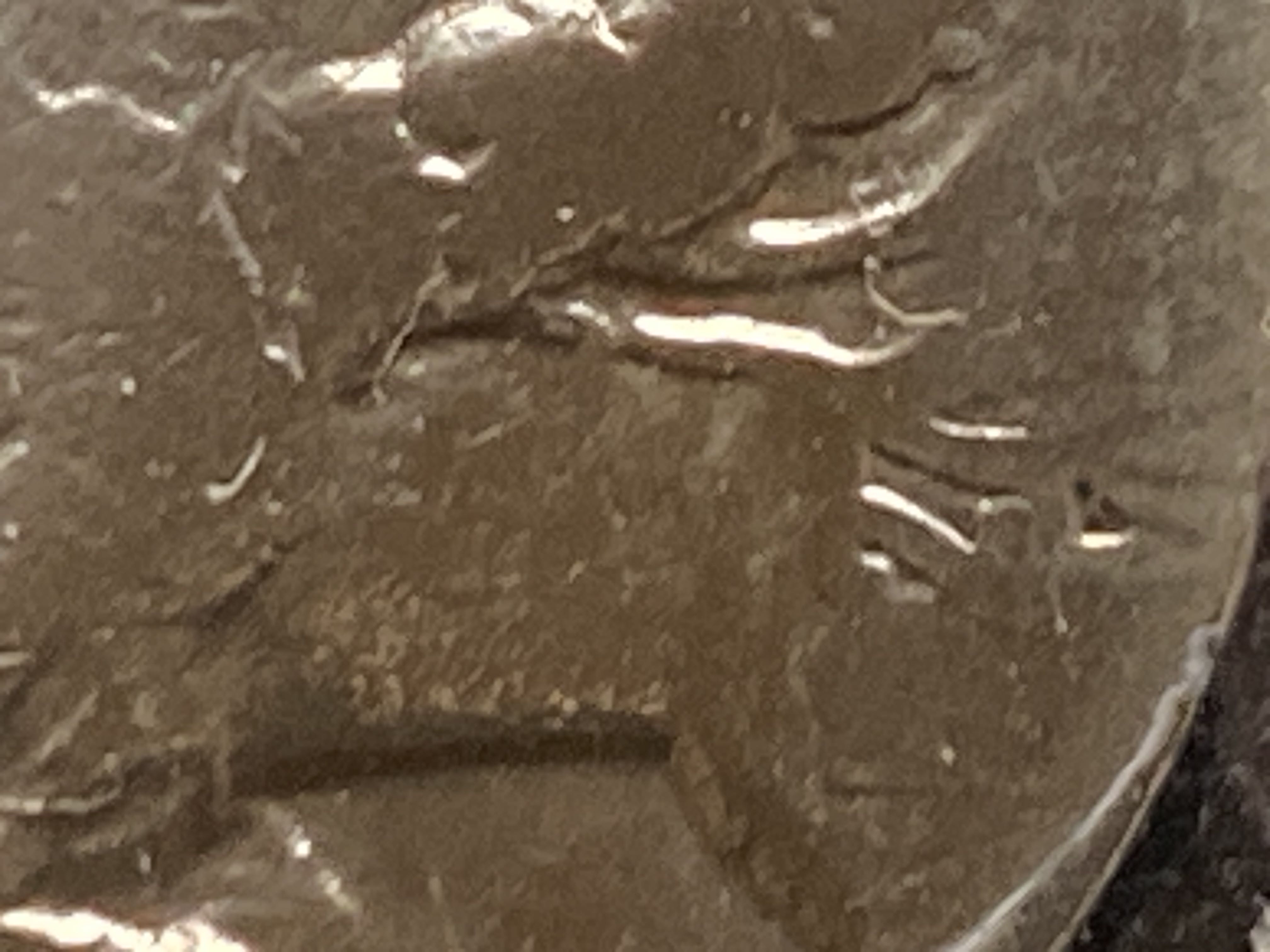 Buffalo Nickel 1927  coin collectible - Main Image 3