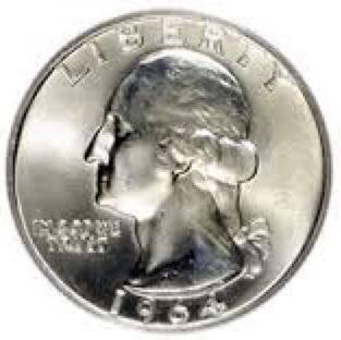 ANA Chicago State Flower: The Violet