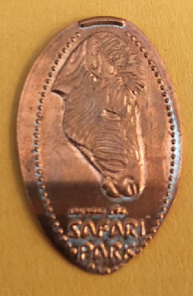 OR - Safari Park / Zebra  coin collectible - Main Image 1