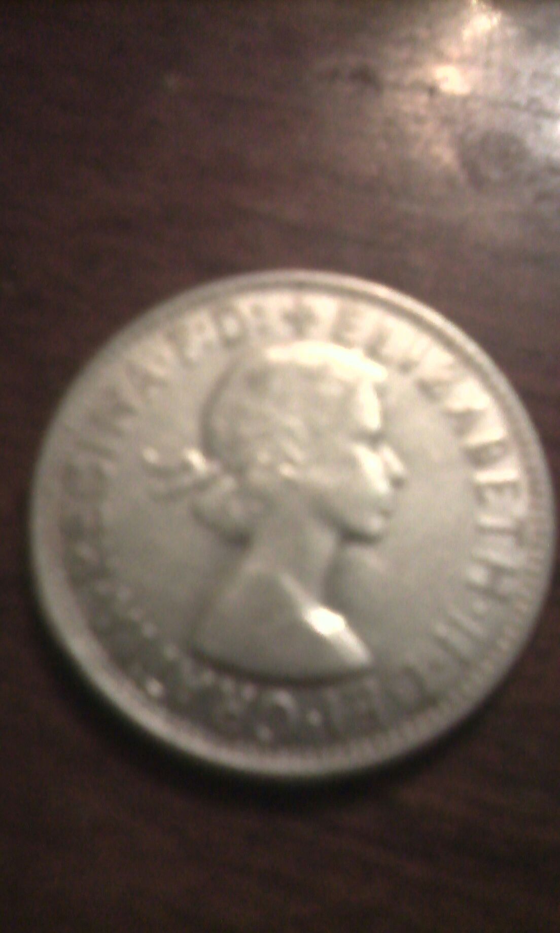 Florin 1954  coin collectible - Main Image 2