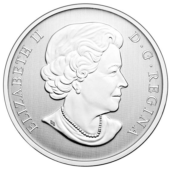 Harlequin Duck / L’Harlequin Plongeur  coin collectible - Main Image 2