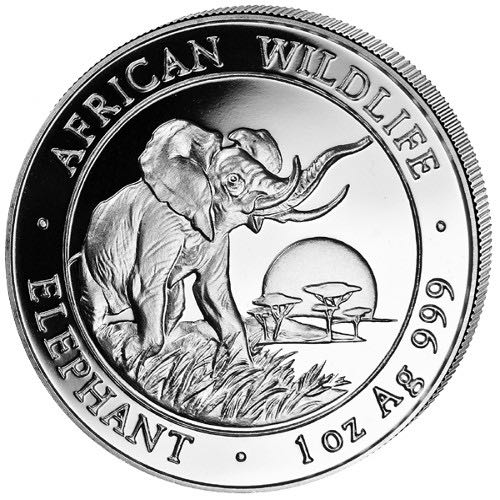 El Yunque Quarter - D