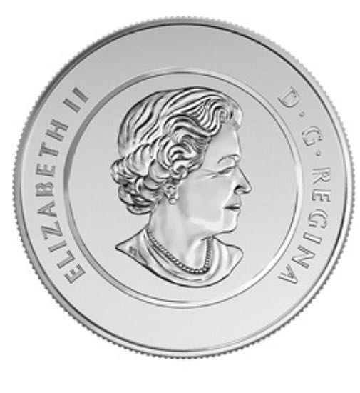 $25 for $25: Winter Fun  coin collectible - Main Image 2