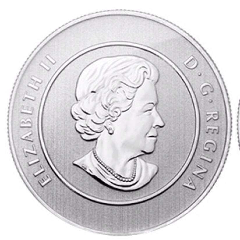 $20 for $20 Polar Bear Swimming  coin collectible - Main Image 2