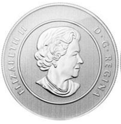 $20 for $20 Magical Reindeer  coin collectible - Main Image 2