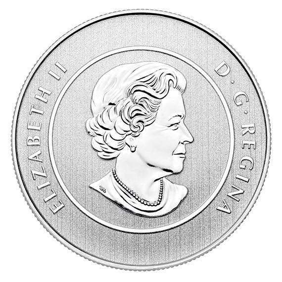 $25 for $25 Maple Leaf Canadian Flag  coin collectible - Main Image 2