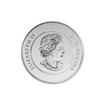 Humpback Whale Medallion  coin collectible - Main Image 2