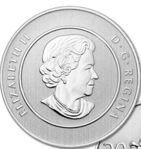 $20 for $20 Summertime  coin collectible - Main Image 2