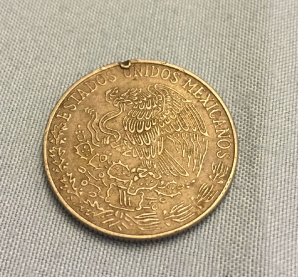 1981 Mexico Centavos  coin collectible - Main Image 2