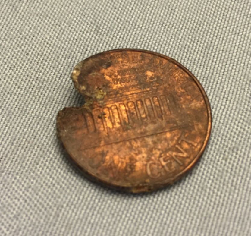 1999 D Penny  coin collectible - Main Image 2