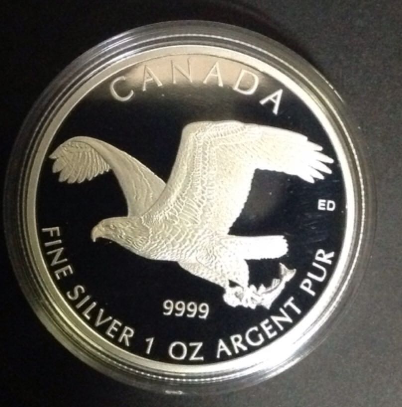 Quarter - Washington Kisatchie Reverse