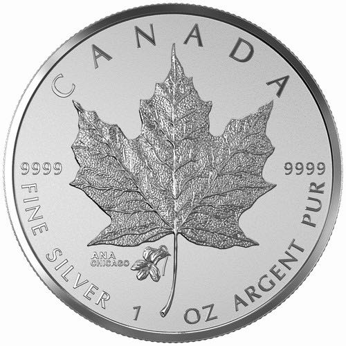 Image 12984