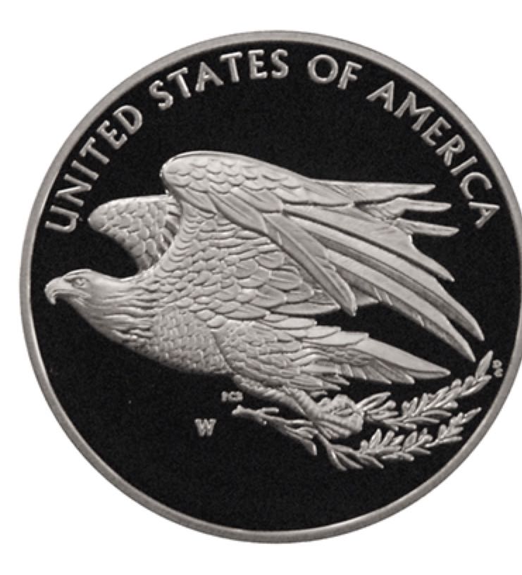 American Liberty Silver Medal W  coin collectible - Main Image 2