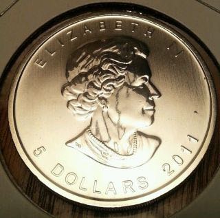 Canada Maple Leaf Wolf  coin collectible - Main Image 2