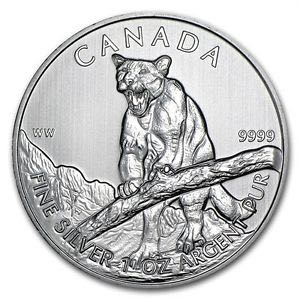 Image 13204