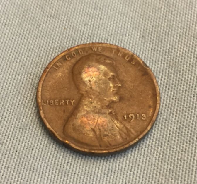 Australian Great Hammerhead Shark