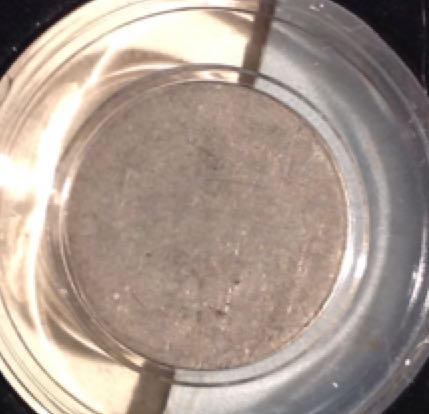 Liberty Seated Dime  coin collectible - Main Image 2