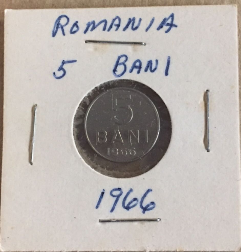 Harlequin Duck - L’Arlequin Plongeur