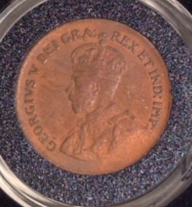 Canada Great Horned Owl