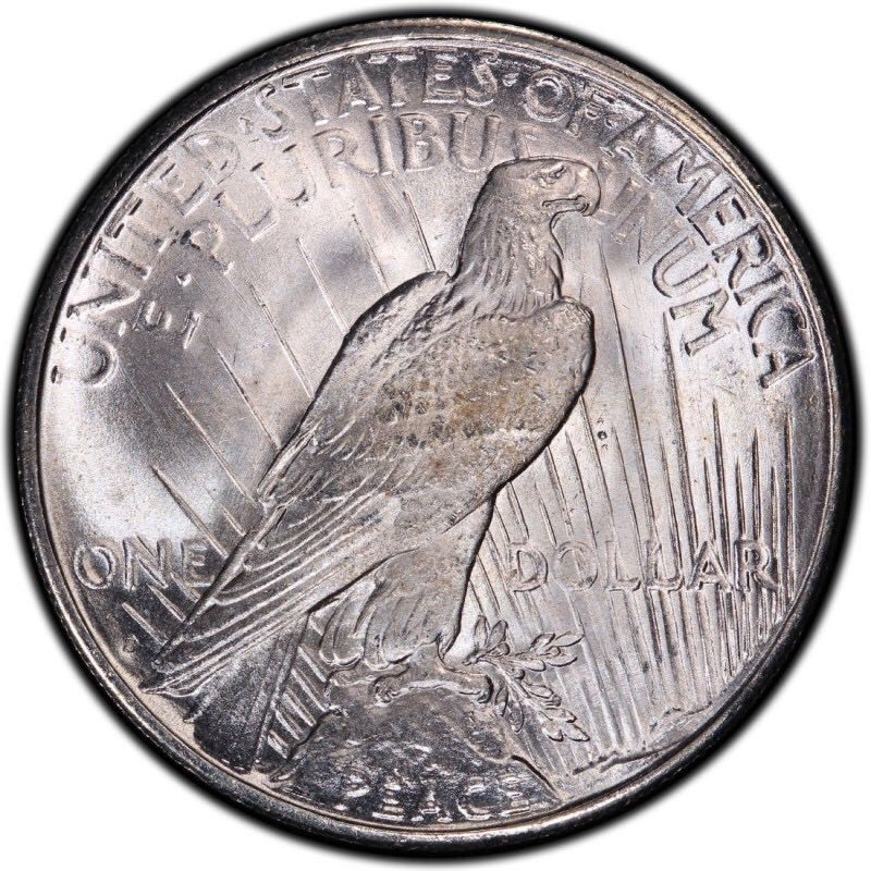 1922 American Peace Dollar  coin collectible - Main Image 2