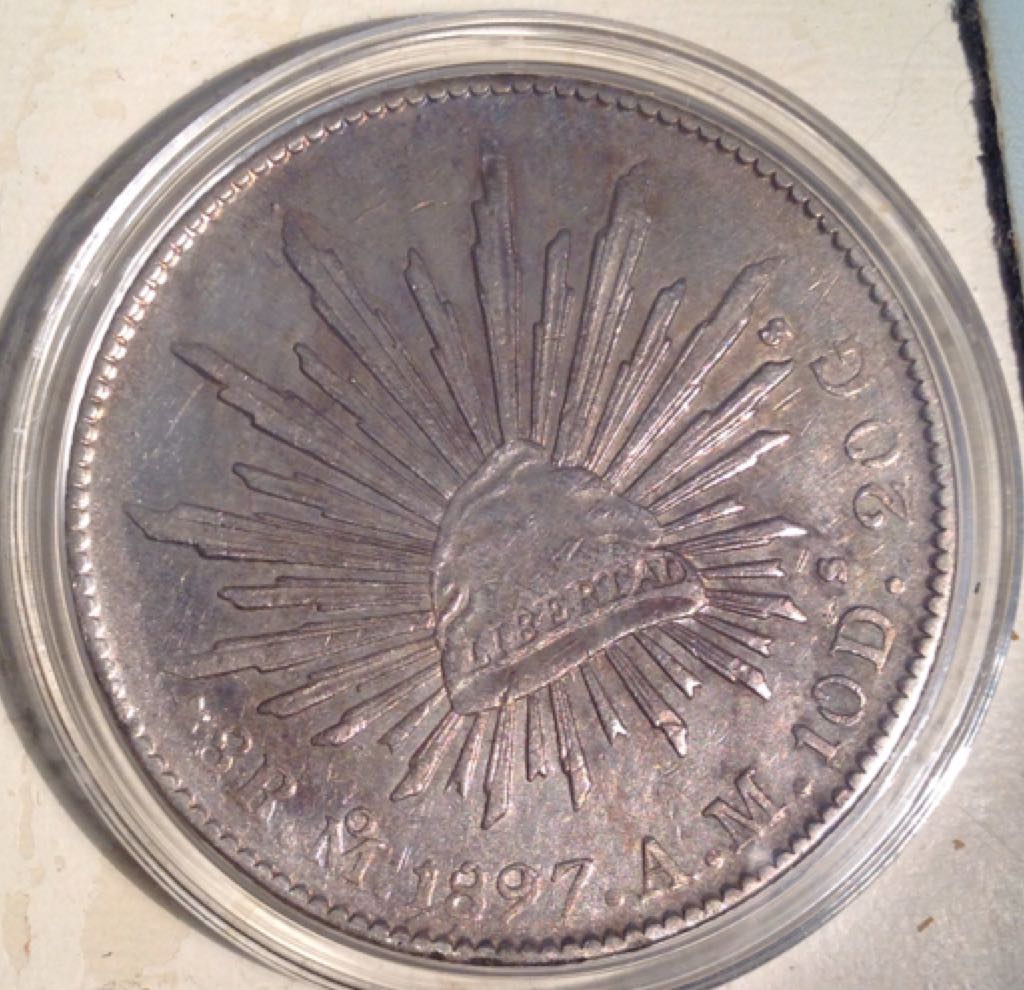 AustralianTiger Shark