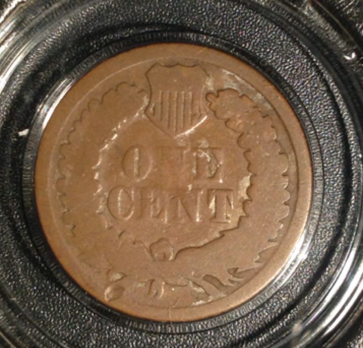 Indian Head Cent  coin collectible - Main Image 2